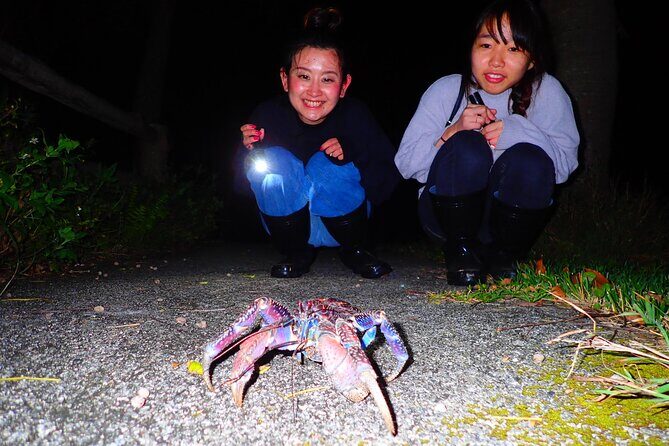 Okinawa Ishigaki Island Night Starry sky and Jungle night tour - Night starry sky and jungle tour, in plain terms