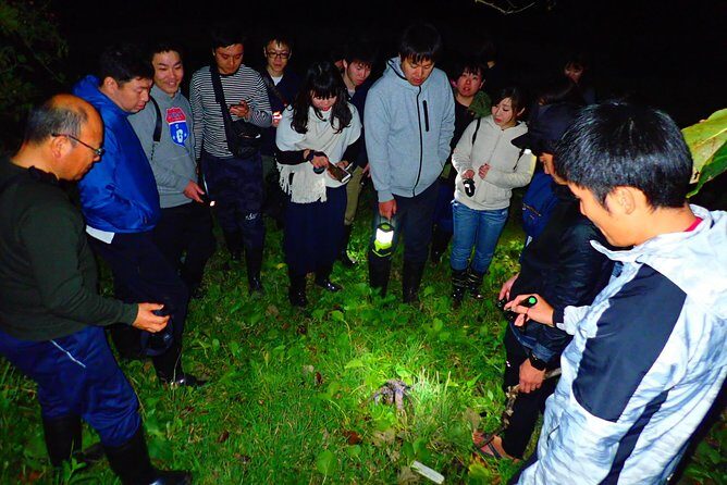 Okinawa Ishigaki Island Night Starry sky and Jungle night tour - Pickup, mobile tickets, and how smooth it feels