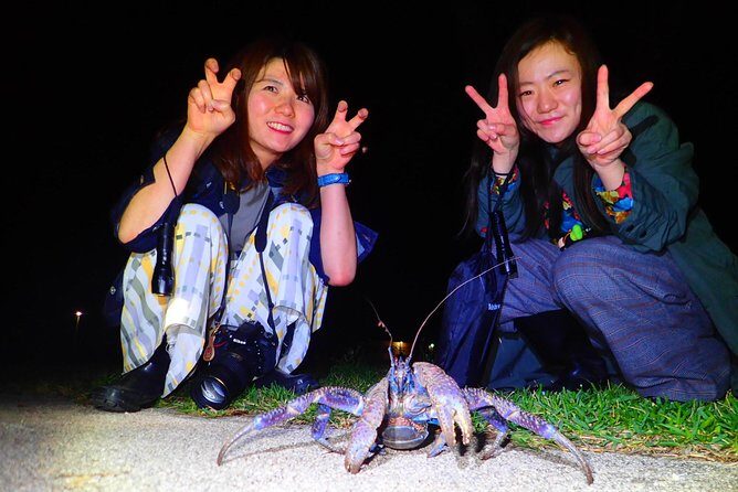 Okinawa Ishigaki Island Night Starry sky and Jungle night tour - Who this tour suits best (and who should think twice)