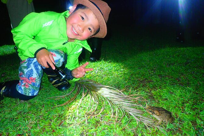 Okinawa Ishigaki Island Night Starry sky and Jungle night tour - What you really do during the 1 hour 30 minutes