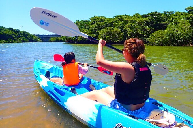 Okinawa Ishigaki Mangrove SUP or Canoe Tour - Key points worth knowing