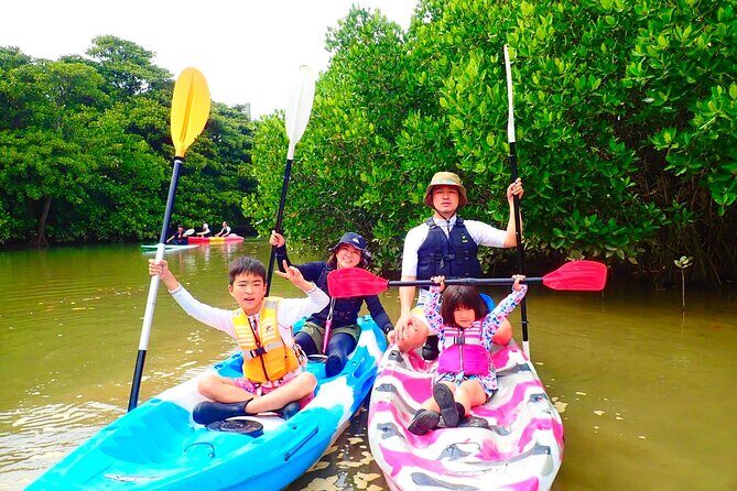 Okinawa Ishigaki Mangrove SUP or Canoe Tour - Miyara River mangroves: the calm you came for
