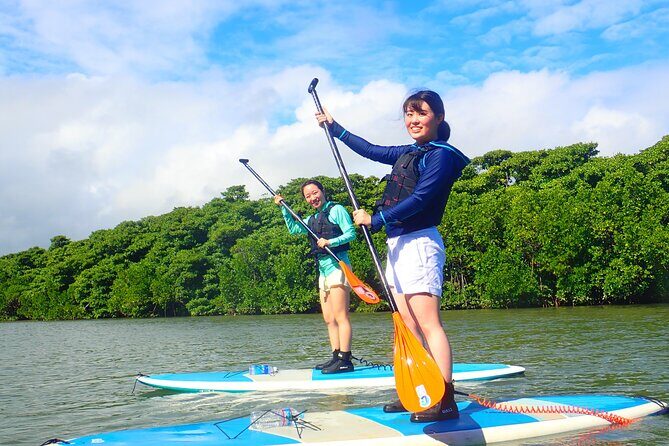 Okinawa Ishigaki Mangrove SUP or Canoe Tour - Price and value: what you really get for $52.19