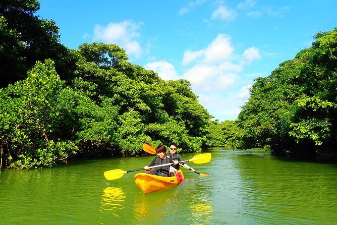Okinawa Ishigaki Mangrove SUP or Canoe Tour - Entering the water: meeting point, timing, and what to bring