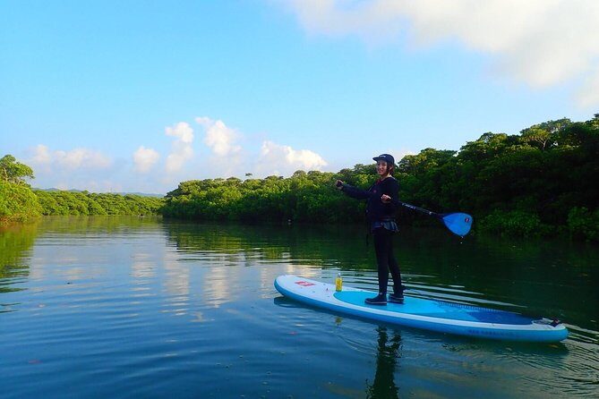 Okinawa Ishigaki Mangrove SUP or Canoe Tour - Stop 2: Ishigaki-jima—scenery, wildlife, and photo-friendly pacing
