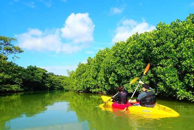 Okinawa Ishigaki Mangrove SUP or Canoe Tour - Guides that make it feel easy: Hiroki and Ken as examples