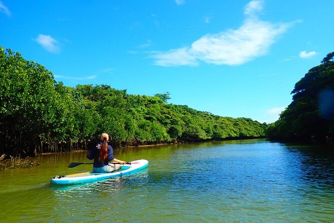 Okinawa Ishigaki Mangrove SUP or Canoe Tour - Safety basics that aren’t optional
