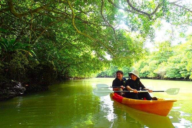 Okinawa Ishigaki Mangrove SUP or Canoe Tour - SUP vs canoe in Ishigaki: pick based on comfort