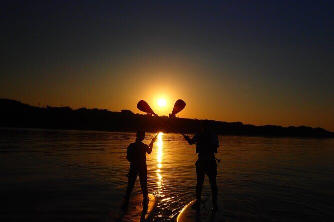 Okinawa Ishigaki Sunrise SUP or Canoe Tour - Price and Value: Is $52.18 Fair for a Sunrise Mangrove Paddle?