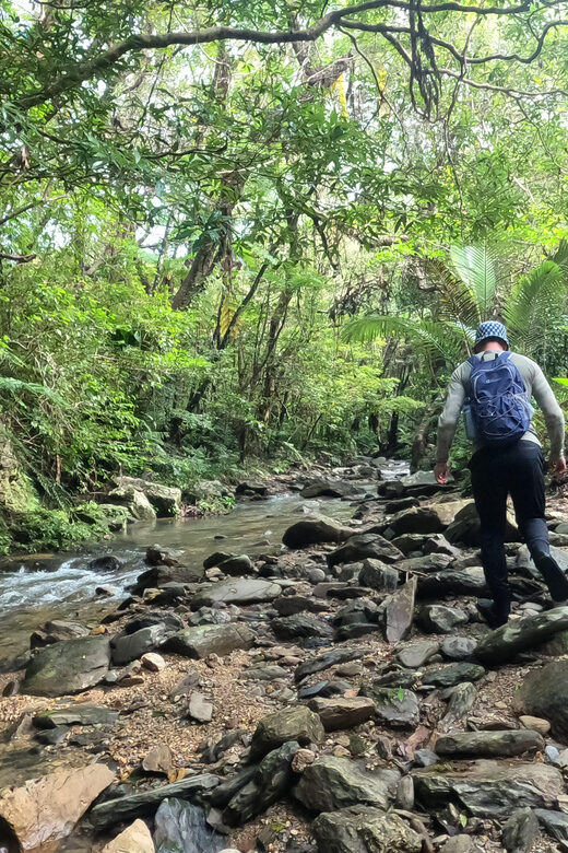 Okinawa: Jungle Trails & Waterfalls Native-English Private - Key Things You’ll Really Notice