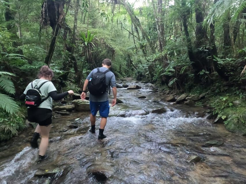 Okinawa: Jungle Trails & Waterfalls Native-English Private - Where This Yanbaru Jungle Walk Actually Takes You