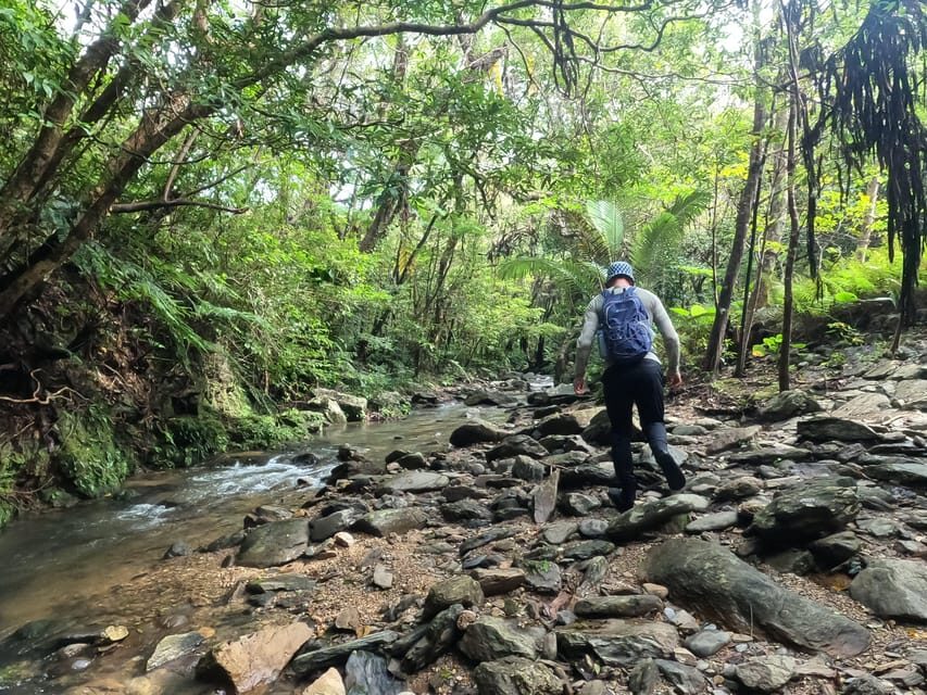 Okinawa: Jungle Trails & Waterfalls Native-English Private - The Start: Two Pickup Options and a Quick Van Transfer