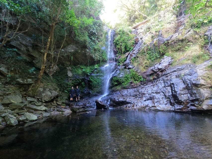 Okinawa: Jungle Trails & Waterfalls Native-English Private - English Guide Nik: Stories That Make the Jungle Feel Alive