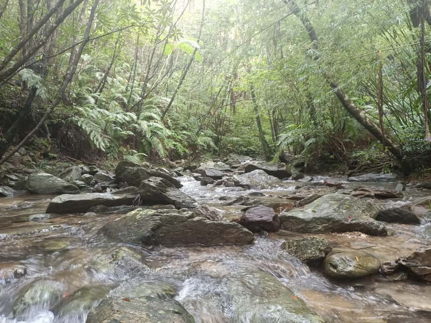 Okinawa: Jungle Trails & Waterfalls Native-English Private - Price and Value: What $78 Buys You Here