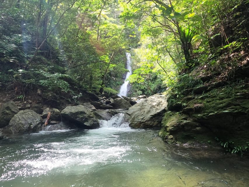 Okinawa: Jungle Trails & Waterfalls Native-English Private - Neoprene Boots and Riverbed Walking: The Real Comfort Hack