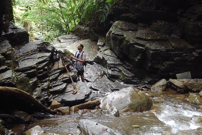 Okinawa Jungle Trails & Waterfalls – Private Yanbaru Tour - Why This Yanbaru Private Trek Works (Quick Take)