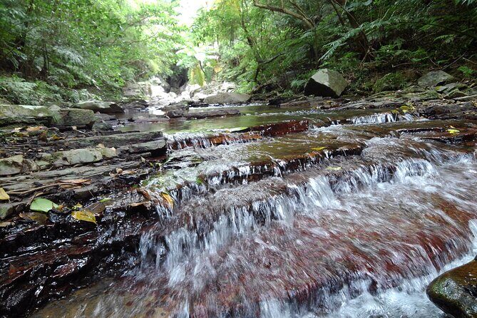 Okinawa Jungle Trails & Waterfalls – Private Yanbaru Tour - Mini Waterfalls and the Nature Reset Break