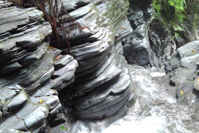 Okinawa Jungle Trails & Waterfalls – Private Yanbaru Tour - Waterfall Time: Tea-Style Pauses and the Summer Swim Option