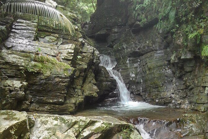 Okinawa Jungle Trails & Waterfalls – Private Yanbaru Tour - Nik’s Guide Style: English Communication and Real Flexibility
