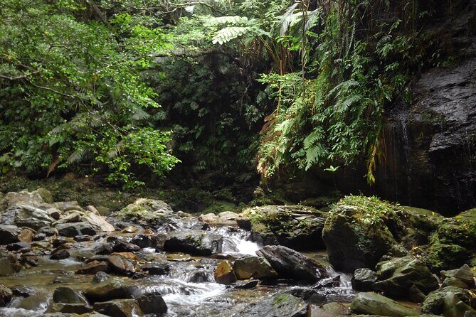 Okinawa Jungle Trails & Waterfalls – Private Yanbaru Tour - What to Bring (So You Don’t Spend the Day Thinking About Logistics)