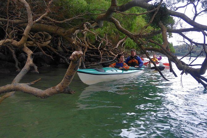 Okinawa: Kayak Mangroves & Ocean Native-English Private Tour - Stop 1: Drive In Rikarika-Warumi and the view-over-coast warmup