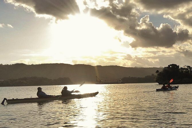 Okinawa: Kayak Mangroves & Ocean Native-English Private Tour - Stop 5: Nakijin-son reef and a golden sand landing break