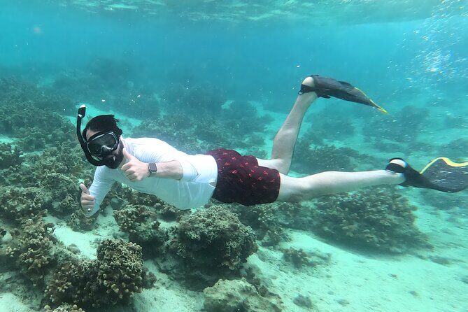 Okinawa: Kayak & Snorkel, Private Tour in Yanbaru - Stop 2: Motobu-cho Snorkel Stop for Fish and Coral