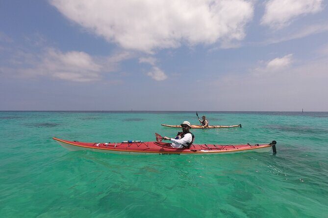 Okinawa: Kayak & Snorkel, Private Tour in Yanbaru - Weather Smart, Not Weather Sorry: How the Tour Handles Wind and Water