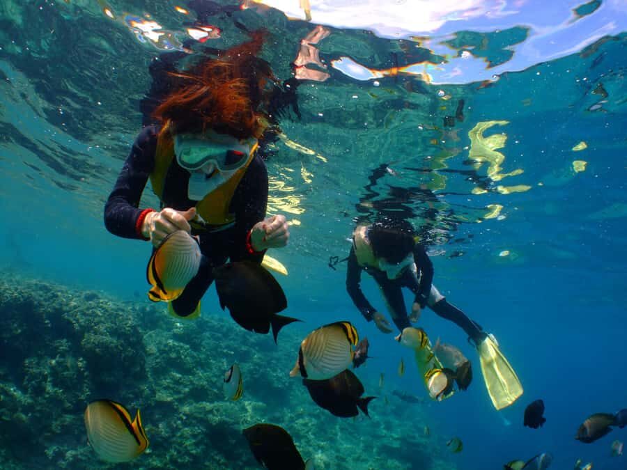 Okinawa : Kerama Whole Day Snorkeling Tour From Chatan/Naha - Key Highlights You’ll Actually Feel On This Tour