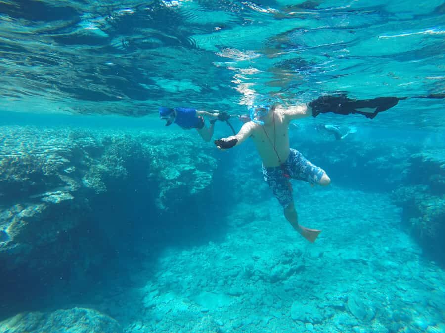 Okinawa : Kerama Whole Day Snorkeling Tour From Chatan/Naha - Underwater Expectations: Fish, Coral, and Turtle Chances