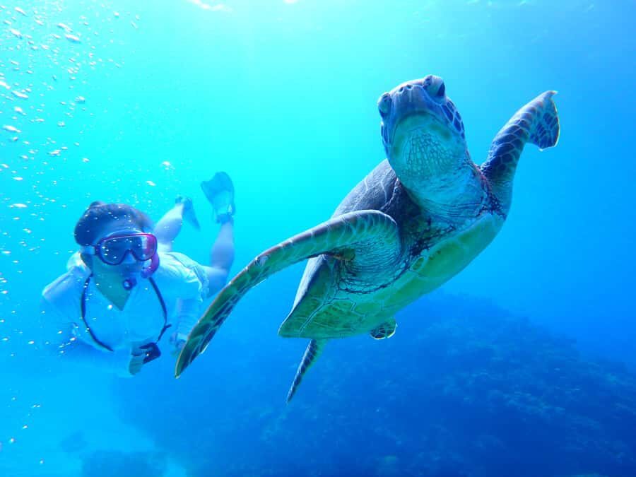 Okinawa : Kerama Whole Day Snorkeling Tour From Chatan/Naha - Chatan or Naha: Getting to the Right Starting Point