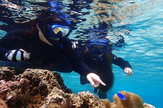 Okinawa Miyako 3set Beach SUP, Snorkeling,Pumpkin Cave,Canoeing - Sea Turtle-Style Snorkeling: Seeing Reefs Without Overcomplicating It