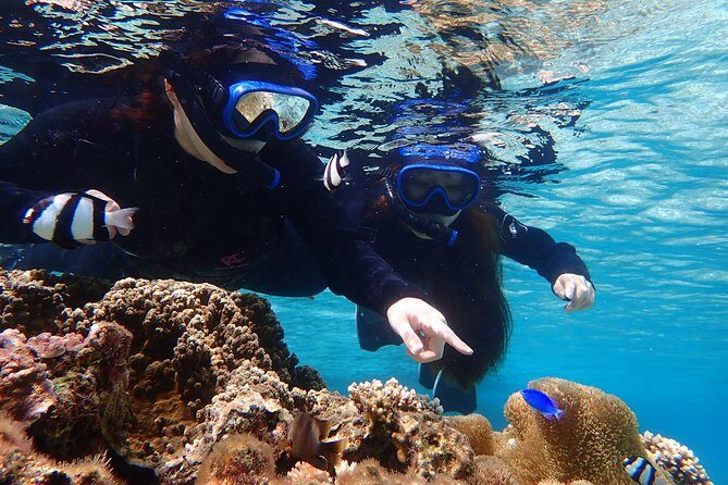 Okinawa Miyako Beach SUP or Canoe and sea turtle Snorkeling - Language support and group size: how your experience will feel