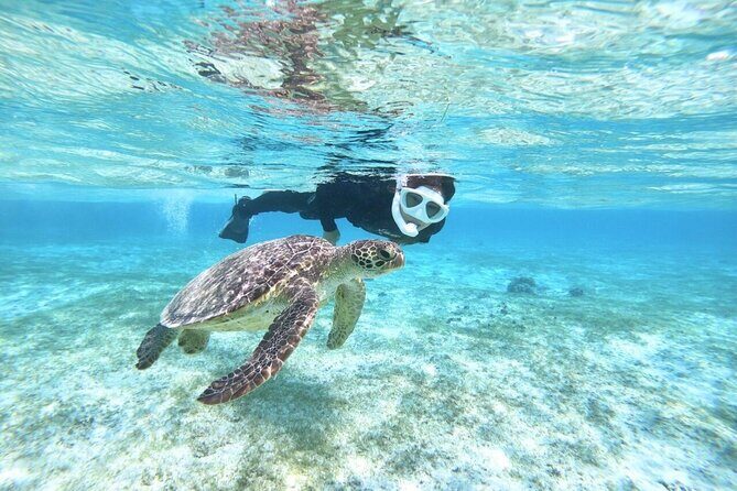 Okinawa Miyako Beach SUP or Canoe and sea turtle Snorkeling - SUP or canoe: pick the pace on Miyakojima