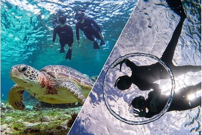 Okinawa Miyako Sea turtle Snorkeling Free Pick up and Drop off - What the 2-Hour Tour Actually Feels Like