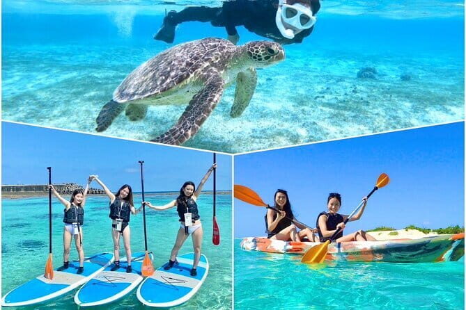 Okinawa Miyako Sea turtle Snorkeling Free Pick up and Drop off - The Underwater Moments That Matter (Turtles, Clownfish, and Fish)
