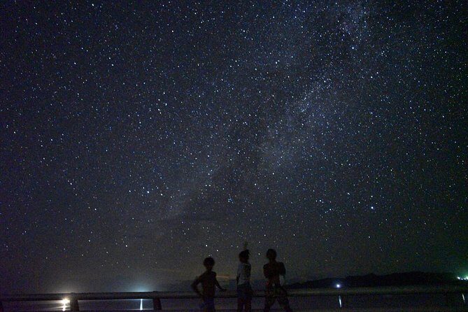 Okinawa Miyako Star Gazing & Subtropical Jungle Night Tour - Why Miyakojima’s night sky is the star here