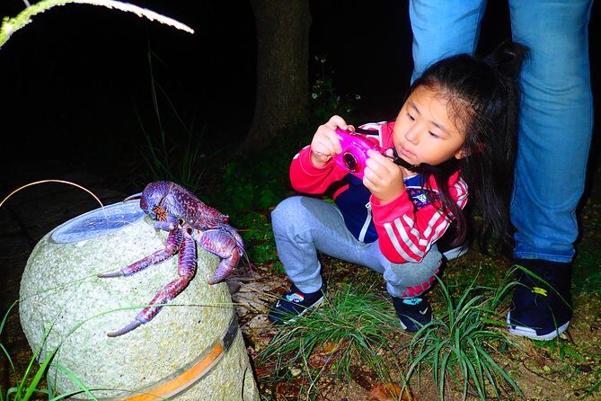 Okinawa Miyako Star Gazing & Subtropical Jungle Night Tour - Stargazing portion: when the city lights finally stop winning