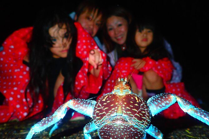 Okinawa Miyako Star Gazing & Subtropical Jungle Night Tour - The jungle walk: what you’re really doing after dark