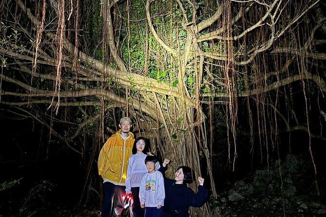 Okinawa Miyako Starry Sky Jungle Exploration Tour - Timing and logistics: an 8:00 pm start, about 2 hours total