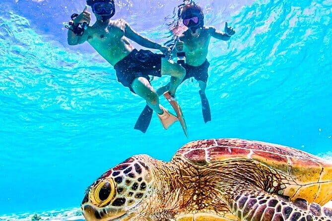 Okinawa Miyako Starry Sky Jungle Exploration Tour - Price and value: why $34.69 can make sense here