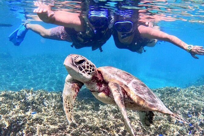 Okinawa Miyakojima 1 day Sea Turtle Snorkeling & Pumpkin Cave & Sea Kayak - Six hours in Miyakojima: how the day is paced