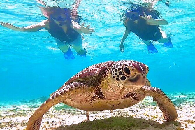 Okinawa Miyakojima 1 day Sea Turtle Snorkeling & Pumpkin Cave & Sea Kayak - Canoe to Pumpkin Cave: the paddle is part of the story