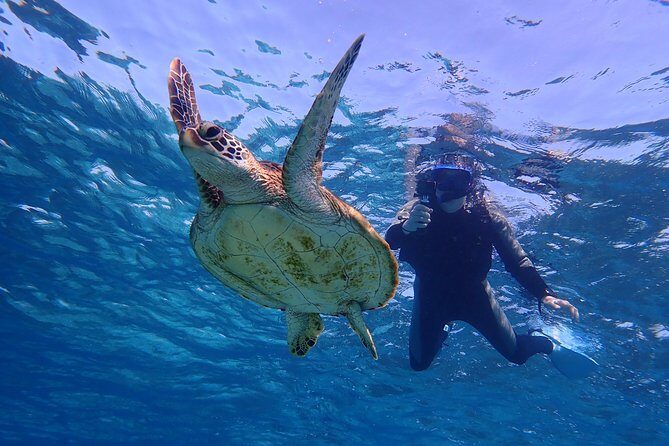 Okinawa Miyakojima 1 day Sea Turtle Snorkeling & Pumpkin Cave & Sea Kayak - What you get for the price (and where value hides)