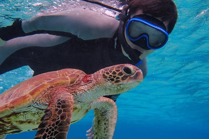 Okinawa Miyakojima Half Day SUPor Canoe & Sea Turtle Snorkeling (Half Day Set) - The flow of the tour: how the half-day schedule typically runs