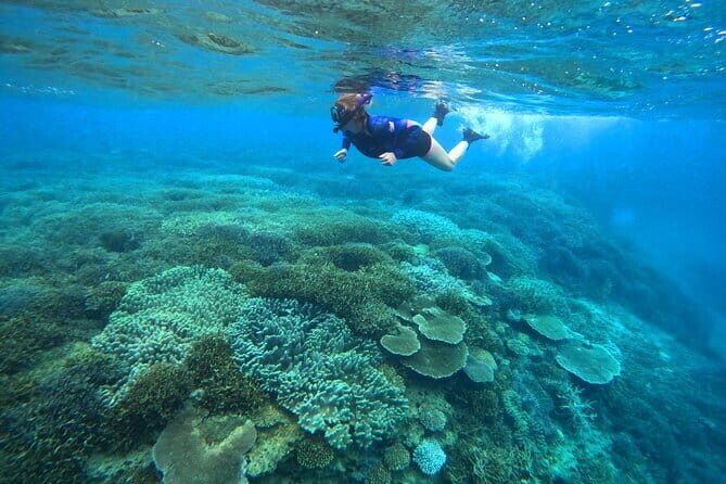 Okinawa Naha Half-day Private Tour - Ojima Island and the Okinawan tempura moment