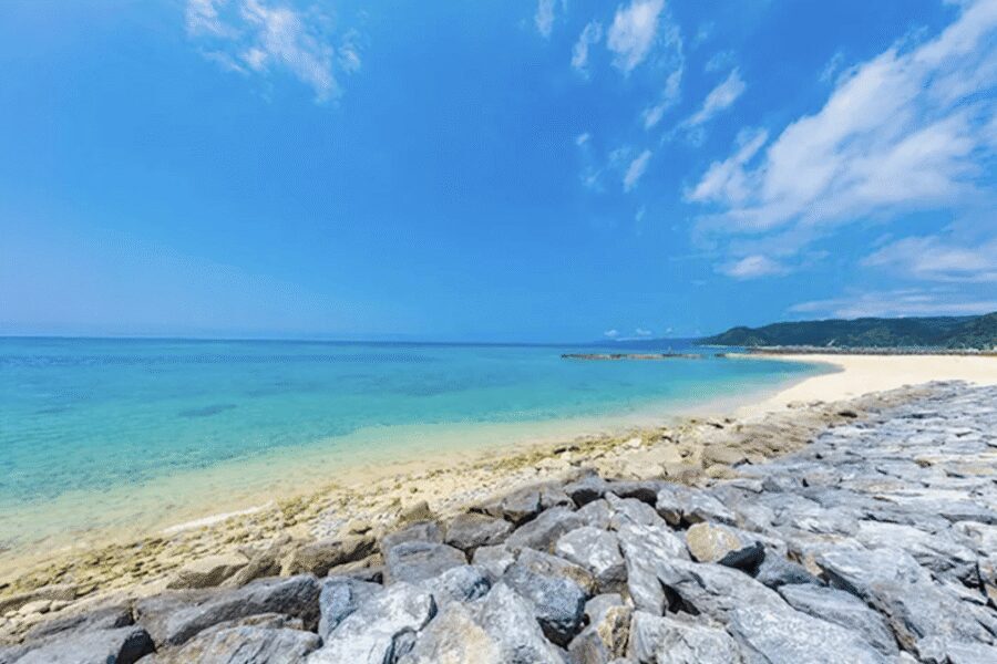 Okinawa Private Custom Tour with Local Guide - Guide Power: local insights, calmer timing, and less guesswork
