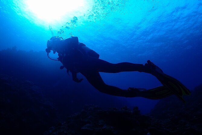 Okinawa Scuba Diving For Certified Divers (3 boat dives + Lunch) - Key highlights I’d target