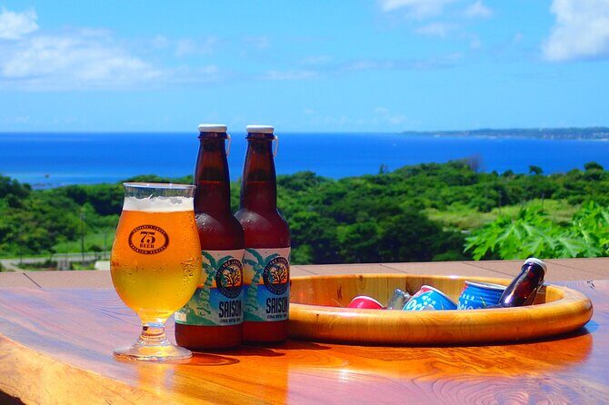 Okinawa Scuba Diving For Certified Divers (3 boat dives + Lunch) - Minna Island: coral reefs, white sandy bottom, and visibility you can feel