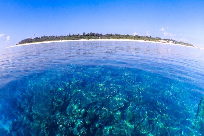 Okinawa Scuba Diving For Certified Divers (3 boat dives + Lunch) - Lunch at the harbor: timing, choices, and why it’s better than a random break